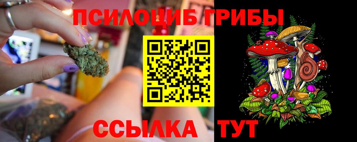 Ноябрьск  купить   Вход с VPN  Галлюциногенные грибы Psilocybe  Галлюциногенные грибы Psilocybine cubensis 